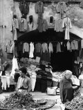 Market in Viterbo Photographic Print