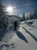 A Hiker Walks Beside Snow Covered Trees Photographic Print by Christof Stache