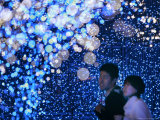 A Couple Goes Through the Sea of Illumination, Tokyo's Business District of Shiodome Dec. 1, 2006 Photographic Print