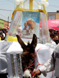 The Residents of Otuma, Mexico Decorate a Donkey with a Popemobile Lámina fotográfica por Marco Ugarte