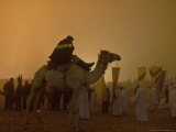 The Millennium Celebration at the Giza Pyramids Photographic Print