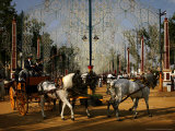 Spanish People in Traditional Costume Ride on a Horse-Drawn Carriage Photographic Print