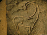 Nubian Ibex Carving, Nubian Museum, Aswan, Egypt Photographie par Kenneth Garrett