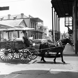 A Horse-Drawn Vegetable Cart Travels Through a Quiet Section of the French Quarter Lámina fotográfica A Horse-Drawn Vegetable Cart Travels Through a Quiet Section of the French Quarter Lámina fotográfica