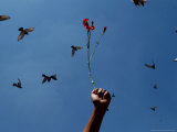 A Protester Holds a Flower During a Protest Photographic Print