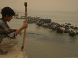 Iraqi Boys Photographie