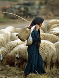 An Iraqi Shepherd, a Young Girl, Herds Her Sheep Photographie