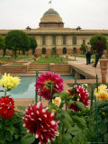 Flowers of the Mughal Gardens Bloom Photographic Print
