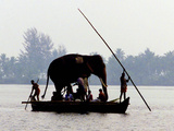 An Elephant is Taken on a Small Boat to a Temple Festival Photographie