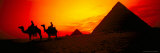 Great Pyramids of Giza at Sunset, Egypt Photographie par Bill Bachmann