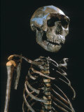 Lake Turkana Boy, National Museums, Nairobi, Kenya Photographie par Kenneth Garrett