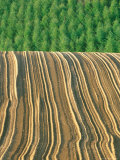 Farm Field after Plowing, Biei, Hokkaido, Japan Lámina fotográfica por Rob Tilley Farm Field after Plowing, Biei, Hokkaido, Japan Lámina fotográfica por Rob Tilley