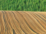 Farm Field after Plowing, Biei, Hokkaido, Japan Lámina fotográfica por Rob Tilley Farm Field after Plowing, Biei, Hokkaido, Japan Lámina fotográfica por Rob Tilley