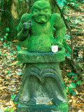 Mountain Shrine, Yakushima, Kagoshima, Japan Lámina fotográfica por Rob Tilley Mountain Shrine, Yakushima, Kagoshima, Japan Lámina fotográfica por Rob Tilley
