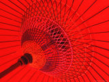 Red Radial, Japan Photographie par Shin Terada