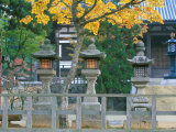 Kondoh, Koyasan, Wakayama, Japan Photographic Print by Rob Tilley