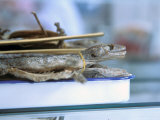 Flying Lizards, Medicines For Sale, Yichang, China Photographie par Connie Bransilver