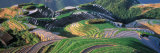 Landscape of Rice Terraces, China Photographic Print by Keren Su