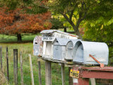 Letterboxes, King Country, North Island, New Zealand Photographic Print by David Wall