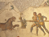Mosaics in the Mosaics Museum, Istanbul, Turkey Photographie par Ali Kabas