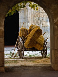 Archway Surrounding Ancient Hay Wagon, Sarai, Caravan, Turkey Lámina fotográfica por Joe Restuccia III Archway Surrounding Ancient Hay Wagon, Sarai, Caravan, Turkey Lámina fotográfica por Joe Restuccia III