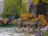 Hay Wagon with Ancient Tools, Caravanserai, Turkey Photographic Print by Joe Restuccia III