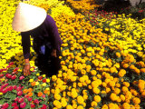 Woman in Straw Hat and Flowers, Mekong Delta, Vietnam Photographie par Bill Bachmann