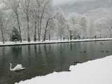 Chateau de Vizille Park, Swan Lake, Vizille, Isere, French Alps, France Photographic Print by Walter Bibikow