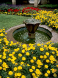 Flower Gardens in Old Town by Rhine River, St Kastor Church, Koblenz, Germany Photographie par Bill Bachmann