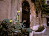 Flowers, Venice, Italy Fotografisk trykk av Connie Bransilver