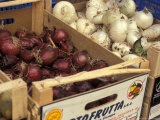 Red and White Onions in the Market, Umbertide, Umbria, Italy Photographic Print by Inger Hogstrom