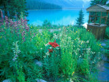 Emerald Lake, Yoho National Park, British Columbia Lámina fotográfica por Rob Tilley Emerald Lake, Yoho National Park, British Columbia Lámina fotográfica por Rob Tilley