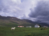 Horse Farm with Mountains in Background, Vatnasdalsholar Hills, North West Islands, Iceland Photographic Print by Bill Bachmann