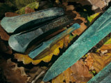 Tools, Axes and Swords, Sky Disk, Bronze Age, Germany Photographie par Kenneth Garrett