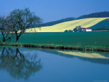 Burgundy Canal, Burgundy, France Fotografisk trykk av Dave Bartruff Burgundy Canal, Burgundy, France Fotografisk trykk av Dave Bartruff