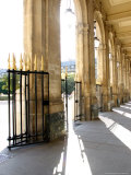 Jardin du Palais Royal, Royal Palace Garden, Paris, France Photographic Print by Michele Molinari