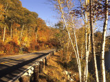 Tranquil Road with Fall Colors in New England Photographie par Bill Bachmann
