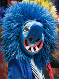Fasnacht Carnival, Fasnacht Costume, Basel, Switzerland Fotografie-Druck von Walter Bibikow