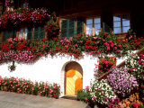 Flowers and Chalet in the Resort Area, Gstaad, Switzerland Photographie par Bill Bachmann