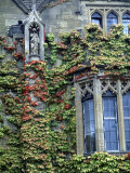 Halls of Ivy, Oxford University, England Photographie par Bill Bachmann