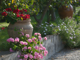 Garden Detail, San Domenico Palace Hotel, Taormina, Sicily, Italy Photographie par Walter Bibikow