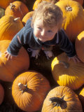 Young Boy Searches the Pumpkin Patch at Halloween Fotografisk trykk av Brent Bergherm Young Boy Searches the Pumpkin Patch at Halloween Fotografisk trykk av Brent Bergherm