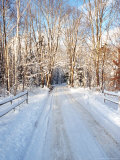 Winter Road in New England Photographie par Bill Bachmann