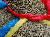 Sacks of Dried Fish from Lake Atitlan, Solola, Western Highlands, Guatemala Fotografie-Druck von Cindy Miller Hopkins