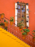 Colorful Stairs and House with Potted Plants, Guanajuato, Mexico Photographic Print by Julie Eggers