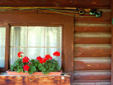 Fly Fishing Rods on Cabin Wall, Lake City, Colorado, USA Photographic Print by Janell Davidson