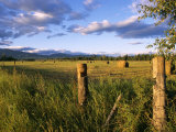 Hay Bales in Field, Whitefish, Montana, USA Photographie par Chuck Haney