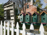 Local Crafts, Oldest Vineyard Area in the Birdhouses, Augusta, Missouri, USA Photographic Print by Walter Bibikow