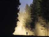 Mountain Biker on a Dusty Road, Swan Valley, Montana, USA Photographie par Chuck Haney