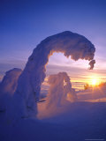 Snowghosts in the Whitefish Range, Montana, USA Photographic Print by Chuck Haney